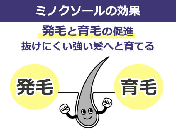 ミノクソールの効果｜効果実感までの期間や実際の口コミをご紹介