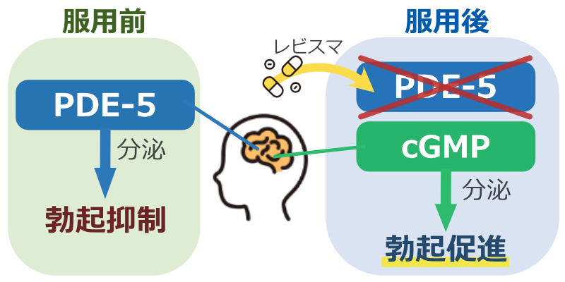 レビスマの効果