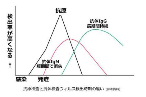 抗原検査のグラフ