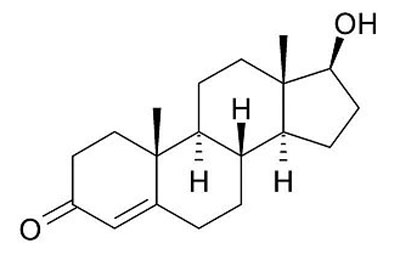 テストステロン